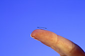 Contact lens on a fingertip