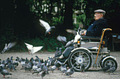 Handicapped Senior Feeding Pigeons
