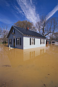 Ohio River Flood