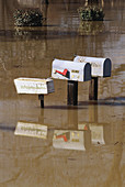 Flooded Mailboxes