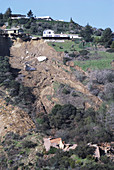 Giant Mudslide