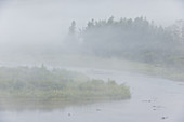 Morning Fog on St. Mary River