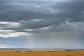 Clouds over Maasai Mara,Kenya