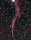 52 Cygni and Veil Nebula SNR