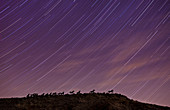 Wild Horses Monument and Star Trails