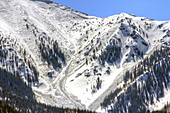 Avalanches in Colorado
