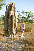 Termite Mound in Australia