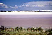 Salt Pond in Australia