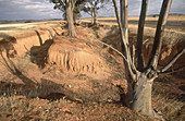 Erosion from Farming