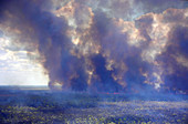 Large seasonal savannah fire