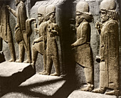 Tribute Bearers,Persepolis,Iran