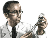 Jonas Salk,Microbiologist