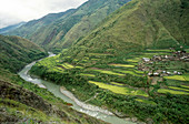 Filipino Rice Terraces Rice Terraces