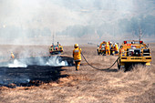 Firefighters,Australia