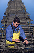 Man Working an Oyster Bed