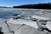 Ice forming on lake's surface