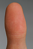 Fingertip showing Fingerprint Ridges