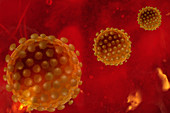 Virus Particles in Bloodstream