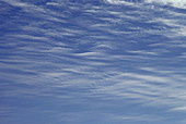 Cirrostratus Clouds