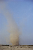 Dust Devil Whirl Wind