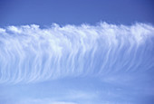 Cirrus Castellanus Clouds