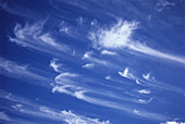 Mare's Tail Cirrus Clouds