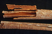 Cinnamon Bark,Chinese Herb