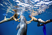 Dolphin,boy,and dolphin trainer