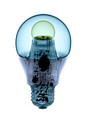 X-ray of an Energy Efficient Light
