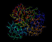 Oxymyoglobin Molecule