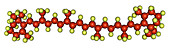 Beta-carotene Molecular Model