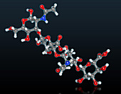 Hyaluronic Acid Molecular Model