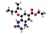 Molecular Model of Oseltamivir (Tamiflu)