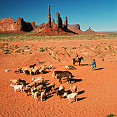 Navajo women tending sheep