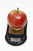 Apple weight in grams