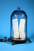 Marshmallows in a Vacuum,4 of 5