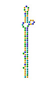 microRNA let-7