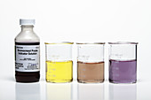 Bromocresol Purple pH Indicator