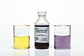 Bromocresol Purple pH Indicator