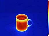 Thermogram of a Mug