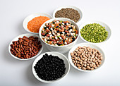 Assortment of Beans and Lentils
