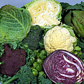 A variety of brassica and cabbage crops