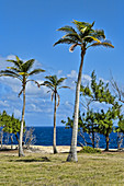 Corbens Bay with view to Atlantic Ocean