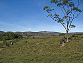 Minas Gerais Landscape