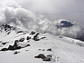 Snows of Kilimanjaro