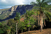 Plateau in Brazilian Highlands
