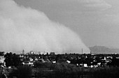 Dust Storm,1975