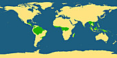 World Map with Tropical Rainforest Areas