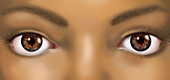 African-American Woman's Eyes