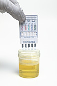 Urine Drug Screening